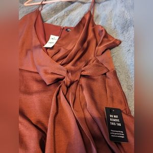 NWT Express Burnt Orange Dress